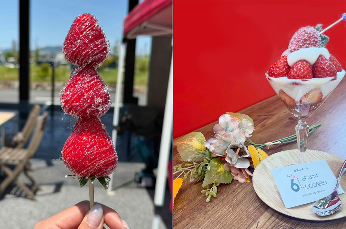 6FARM × はとむぎの杜 コラボイベント開催